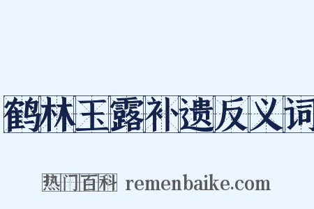 鹤林玉露补遗反义词是什么意思的图片